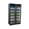 Exquisite Two Glass Doors Upright Display Fridge – Black - DC700